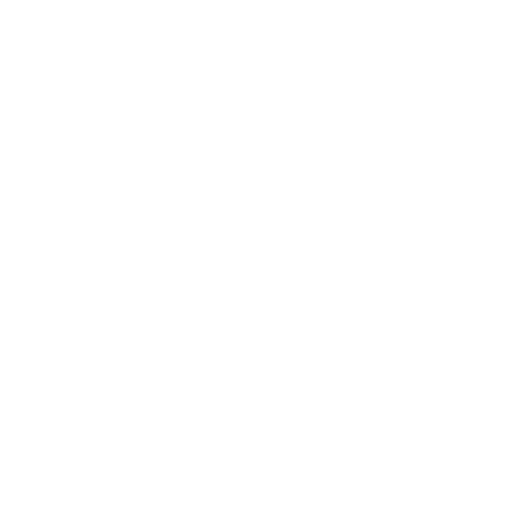Icon showing a padlock inside a shield.