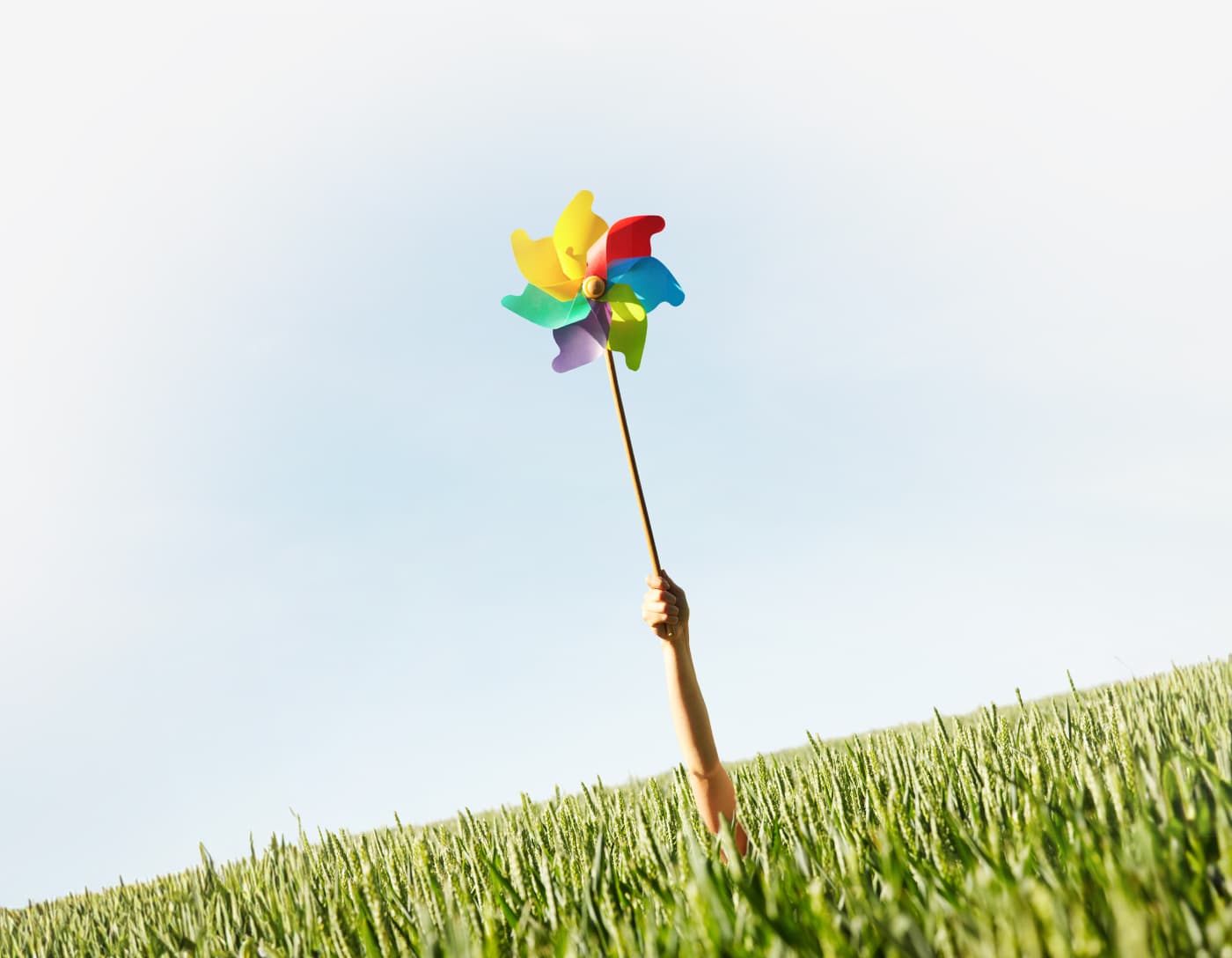 A person's hand emerging from a field which is holding a colourful pinwheel up towards the sky, alongside the BFY Group logo.